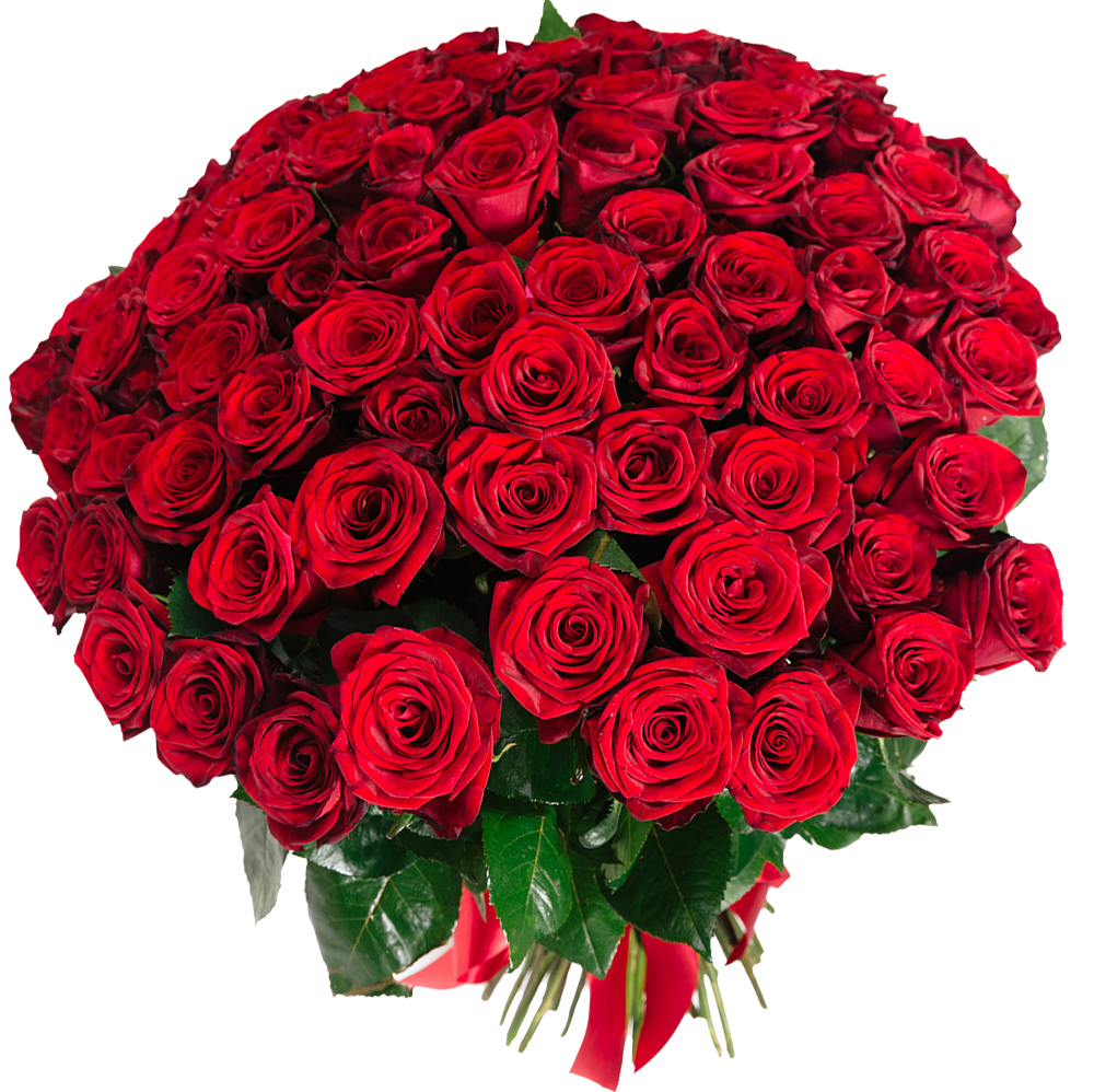 SPREADED ROSES